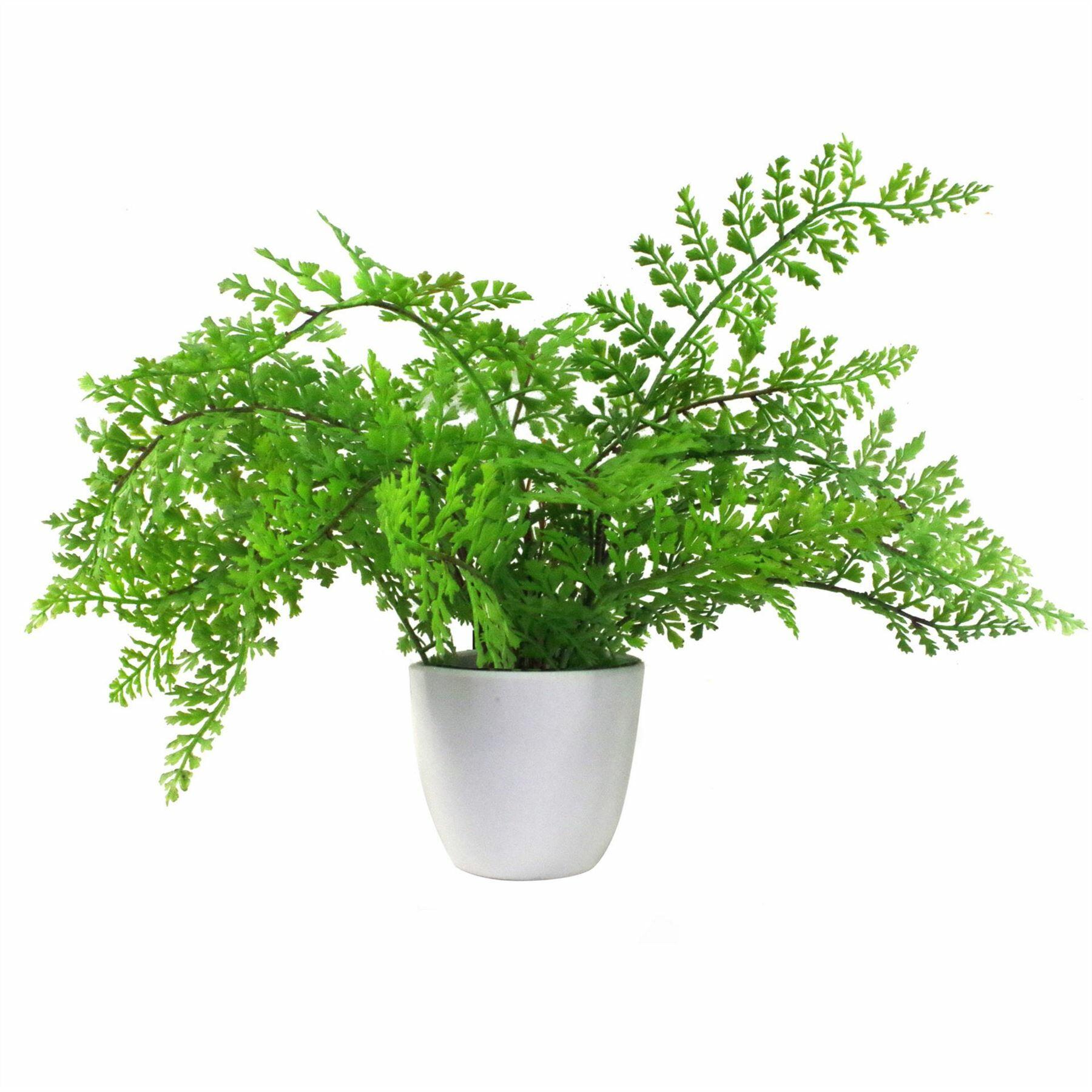 30cm Artificial Potted Royal Fern
