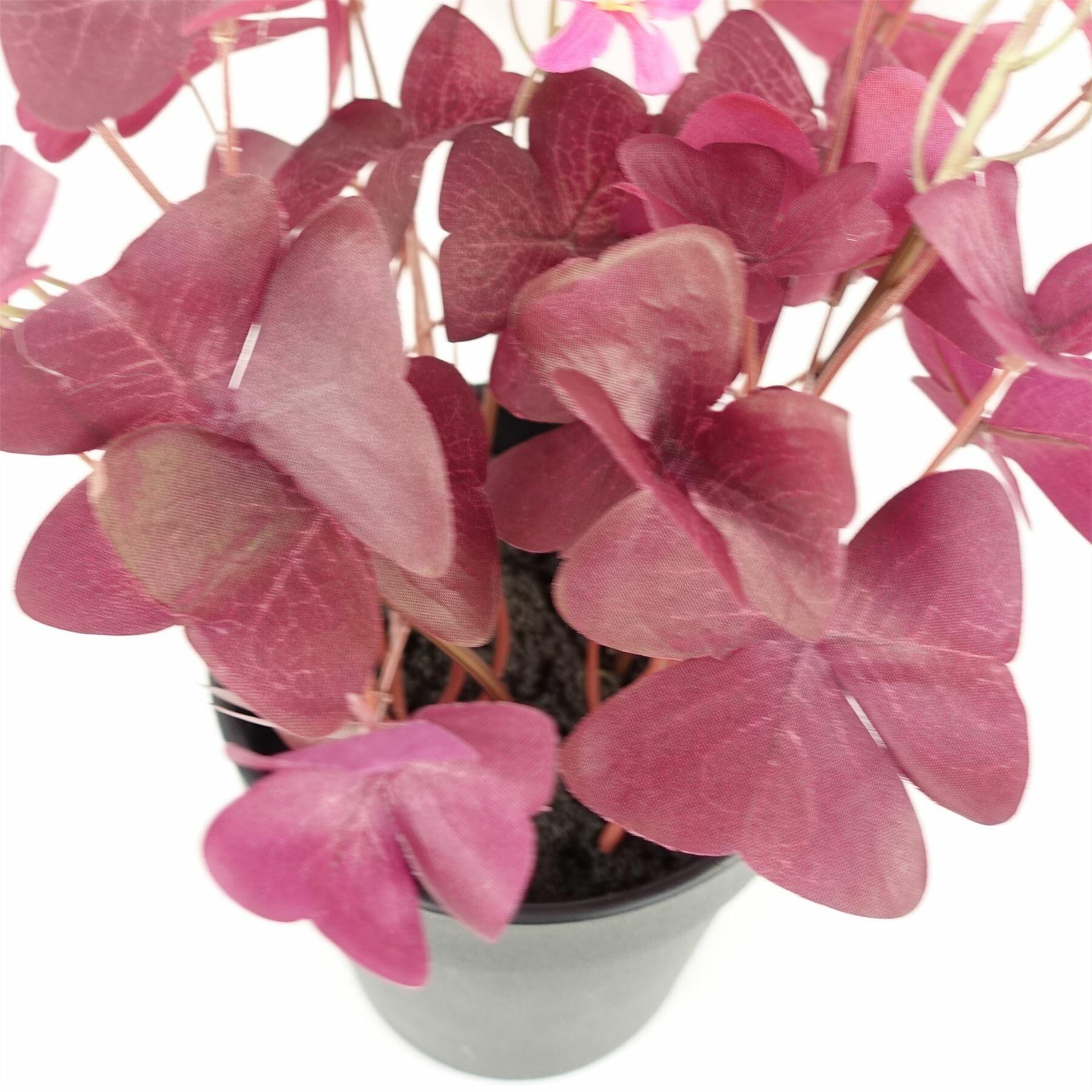 Artificial Plant Purple Shamrock Pink