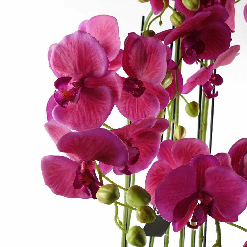 110cm Large Pink Orchid Plant