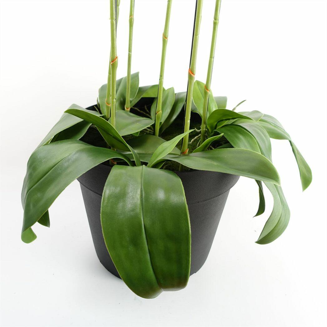 Yellow Peach Orchid Plant Artificial Real Touch Flowers