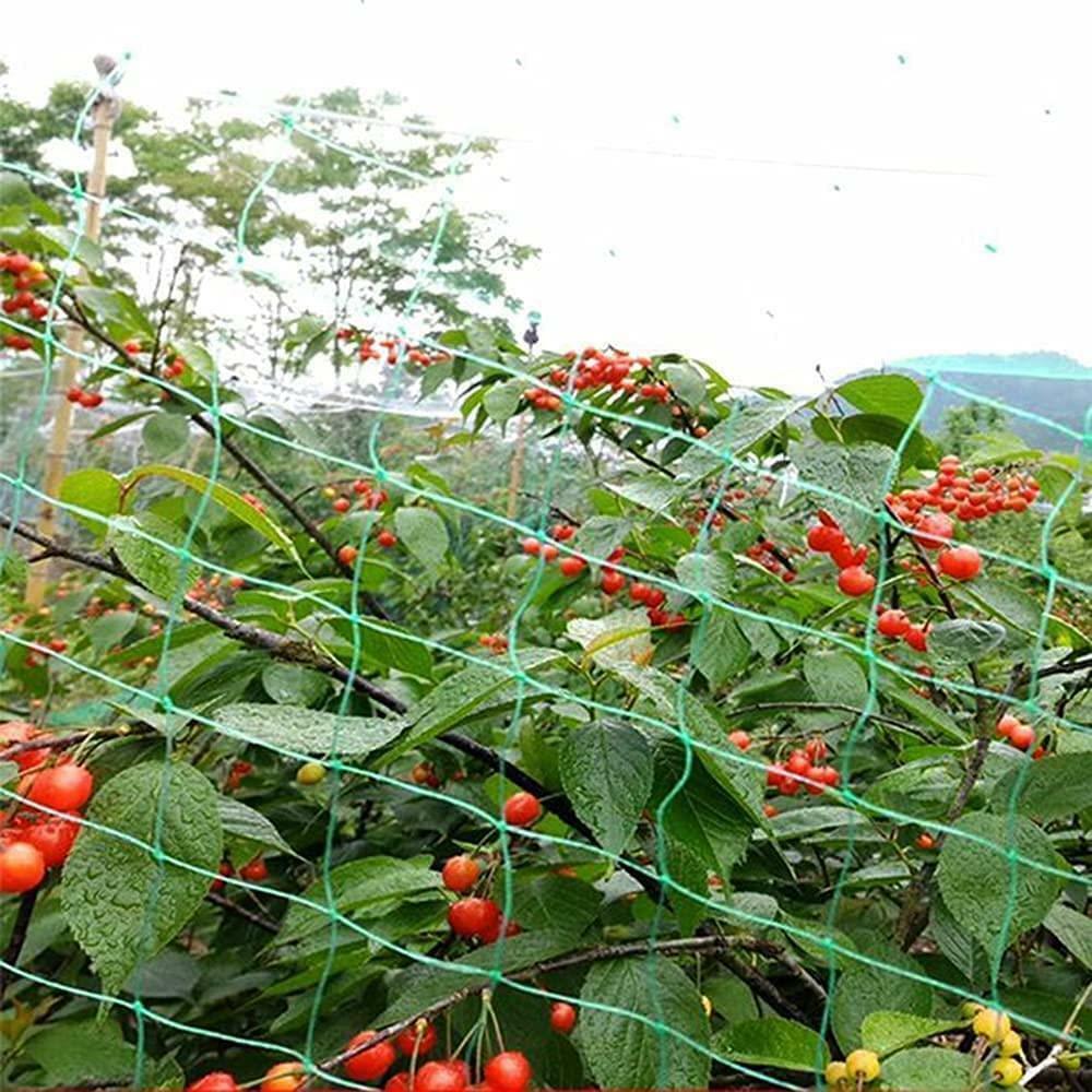 Bird Netting for Garden