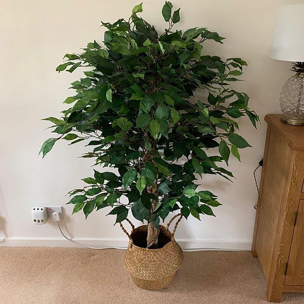 Leaf Realistic Artificial Ficus Tree