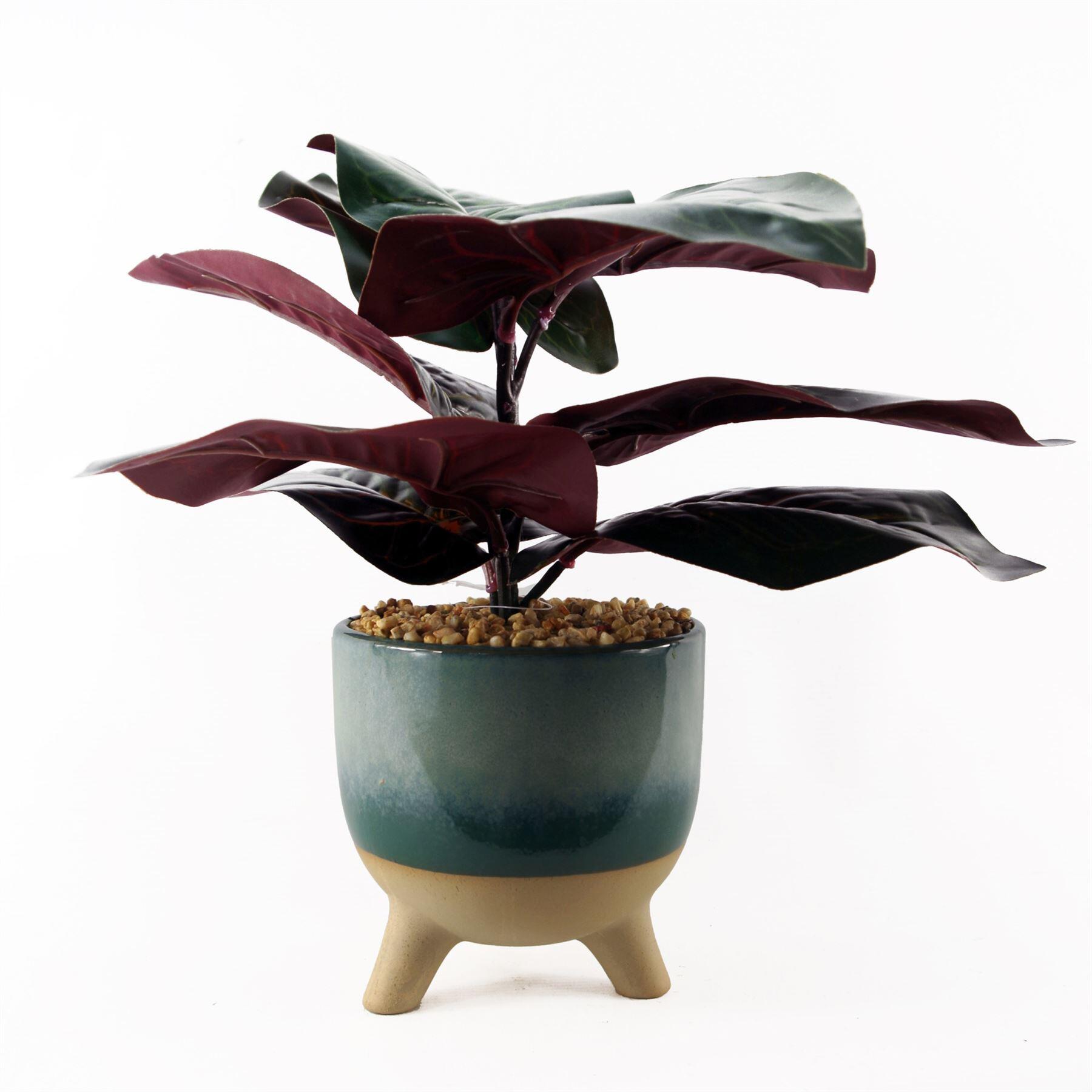 35cm artificial ficus plant with teal blue green view 1