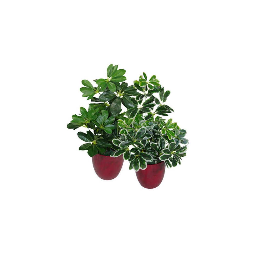 image of 55cm dark green artificial umbrella plant view 2