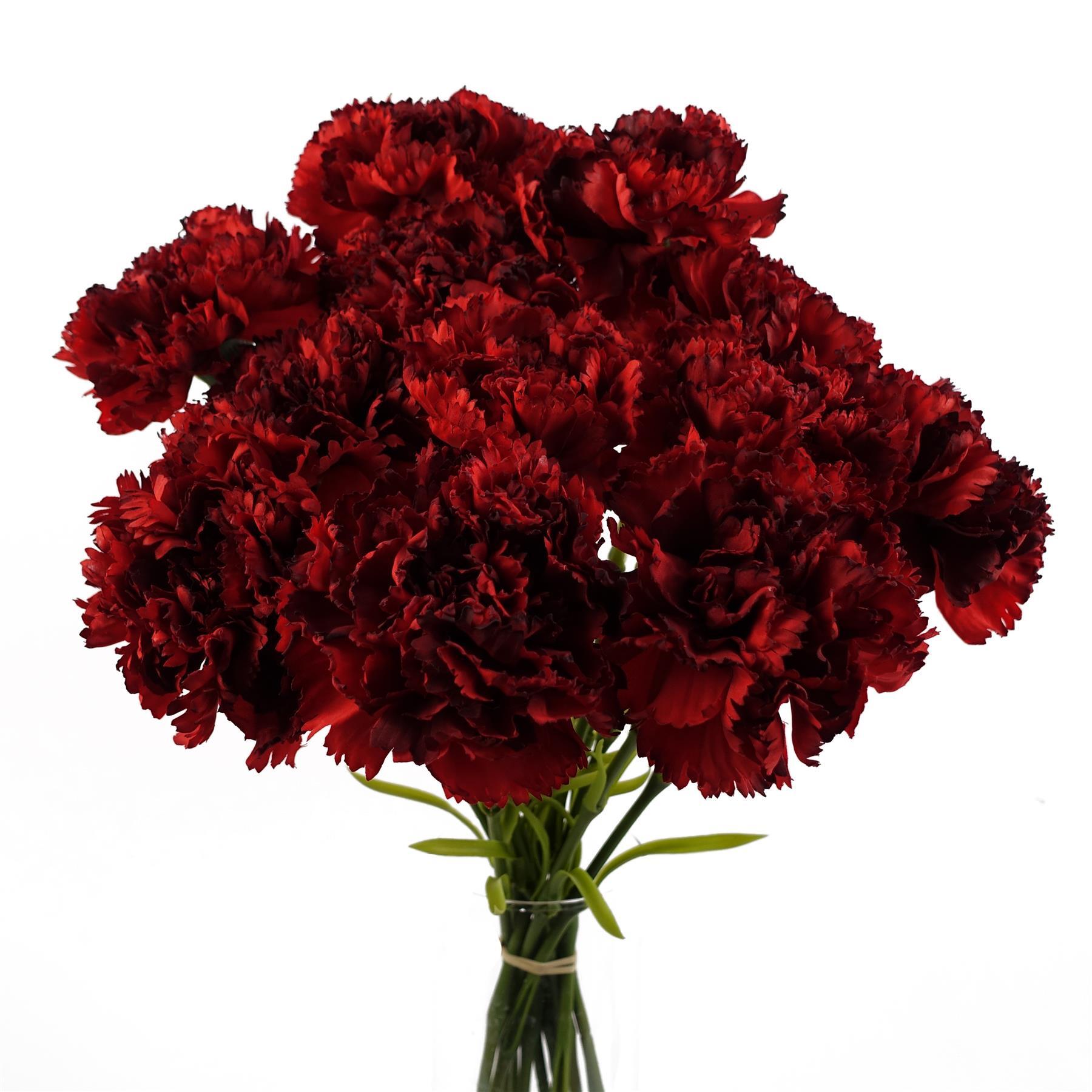 image of 12 x red carnation artificial flowers view 1