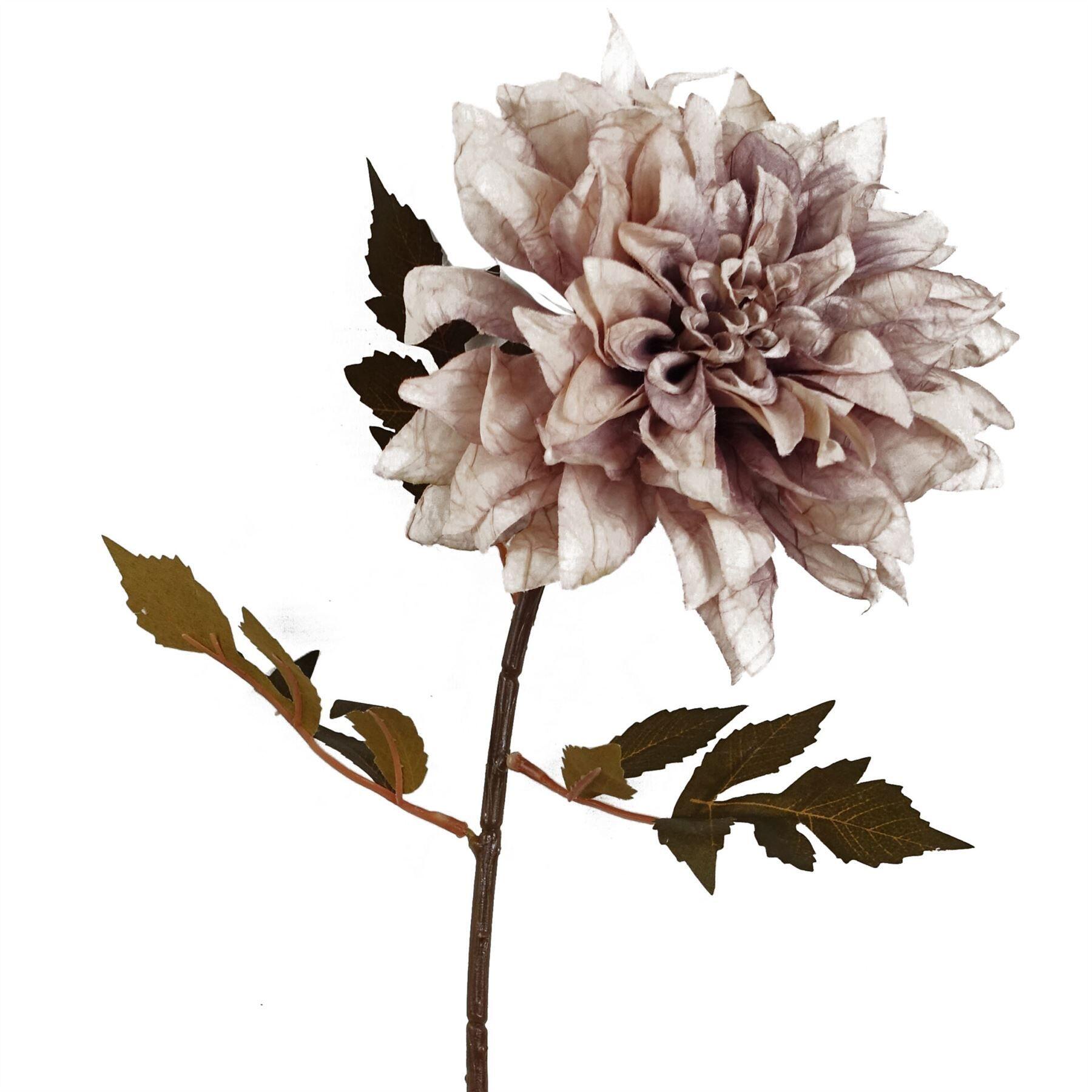 image showing 55cm dahlia flower stem - dusty pink
