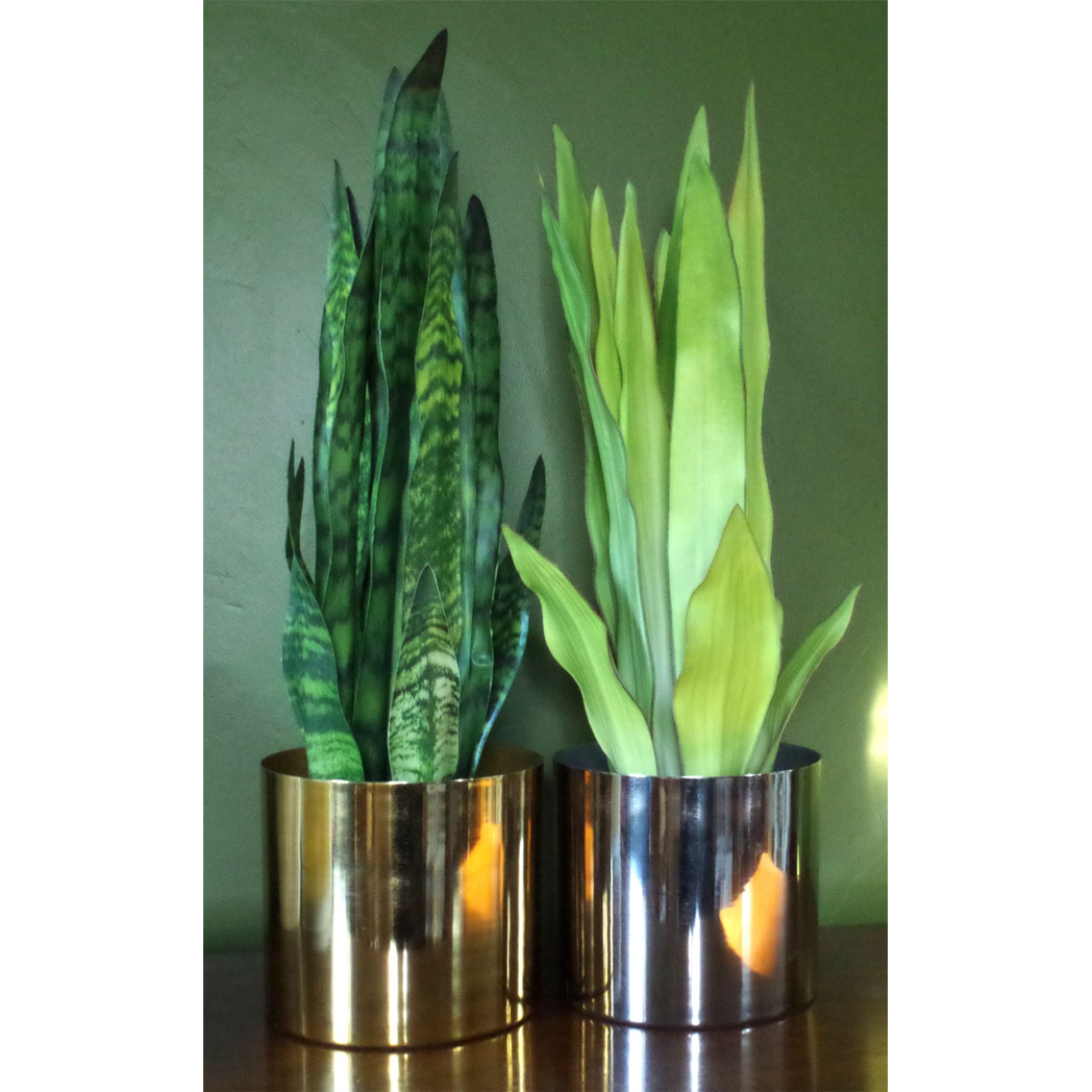 70cm Artificial Sansevieria Zeylanica Plant alternative style 2