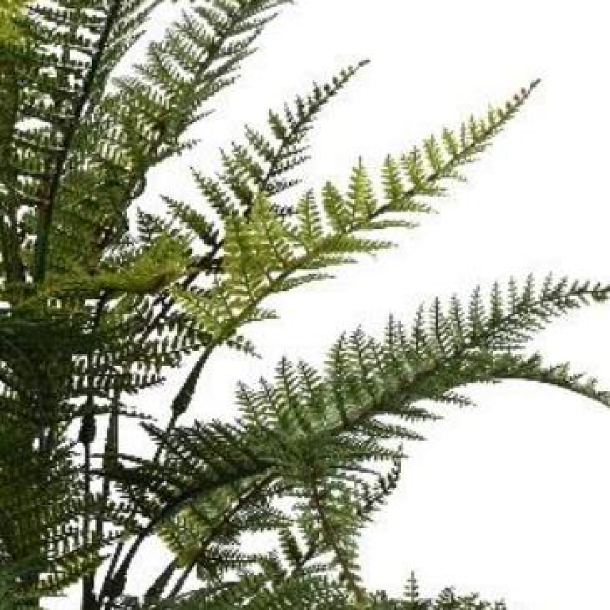 artificial plant