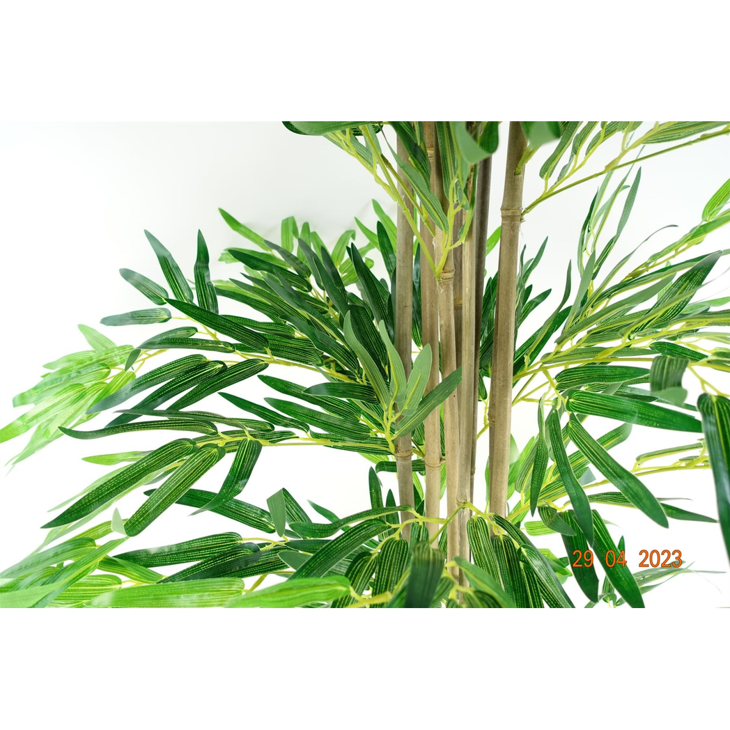 xl (6ft) 180cm green trees plants bamboo product image