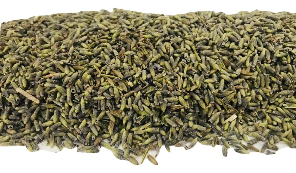 french lavender seed