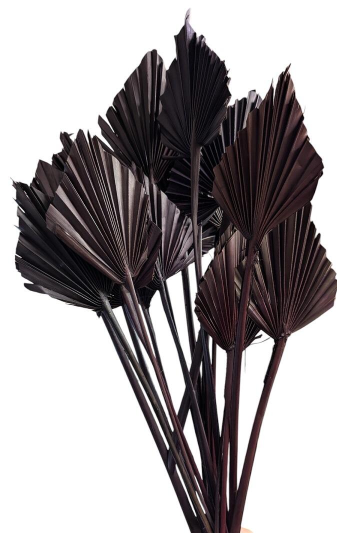 brown dried palm spear