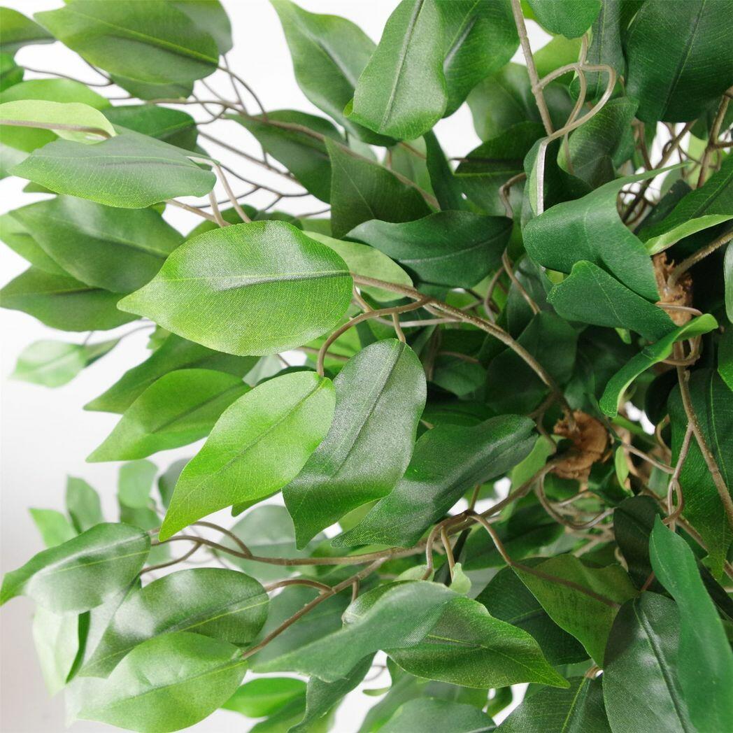Artificial Evergreen Ficus Tree
