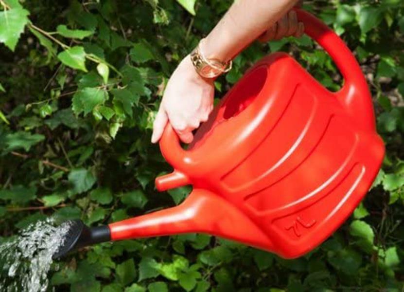 watering can