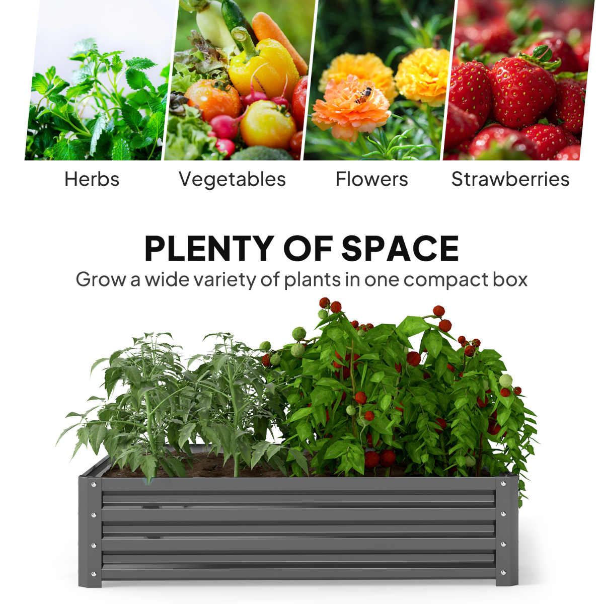 raised garden box planter