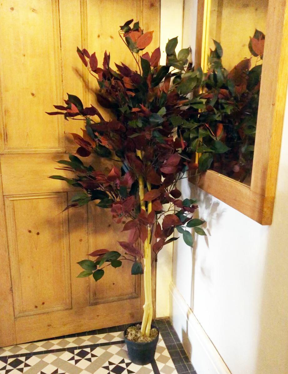 Artificial Dark Red Green Ficus Plant - Extra Large