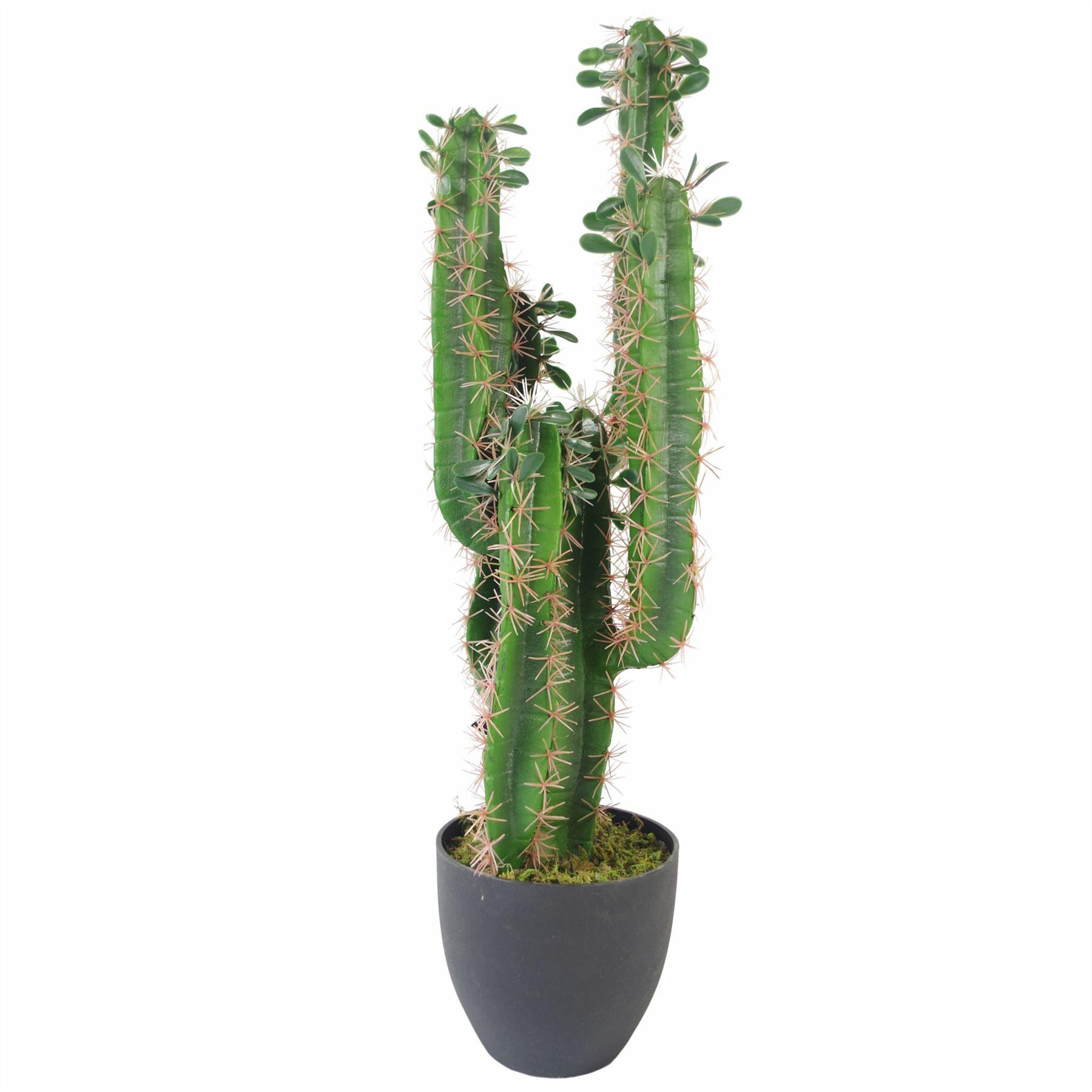 Premium Artificial Cactus with pot