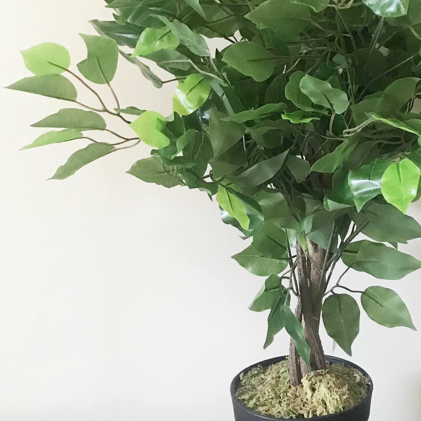 Artificial Ficus Tree