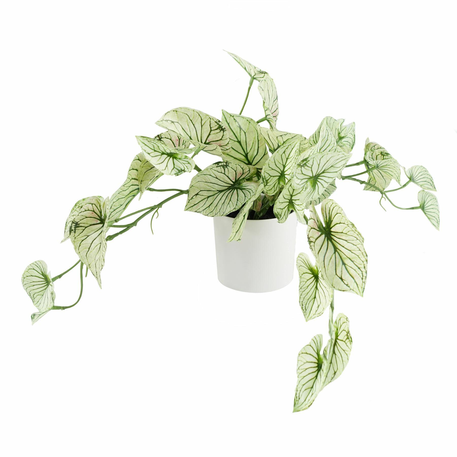 30cm Artificial Trailing Plant Variegated Potted