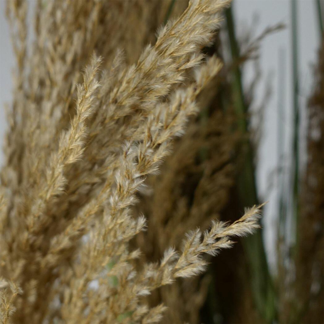 180cm Realistic Natural Pampas Grass Plant