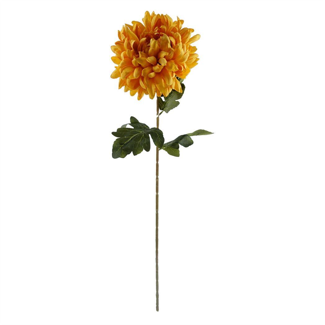 pack of 6 x 75cm extra large reflex view 5