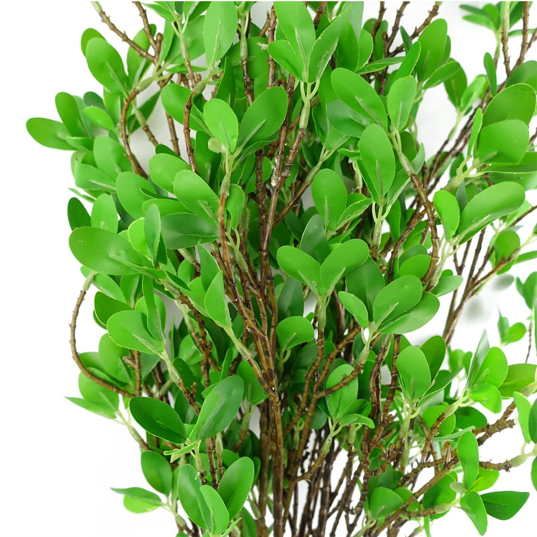 pack of 6 x 100cm mini leaf ficus view 4