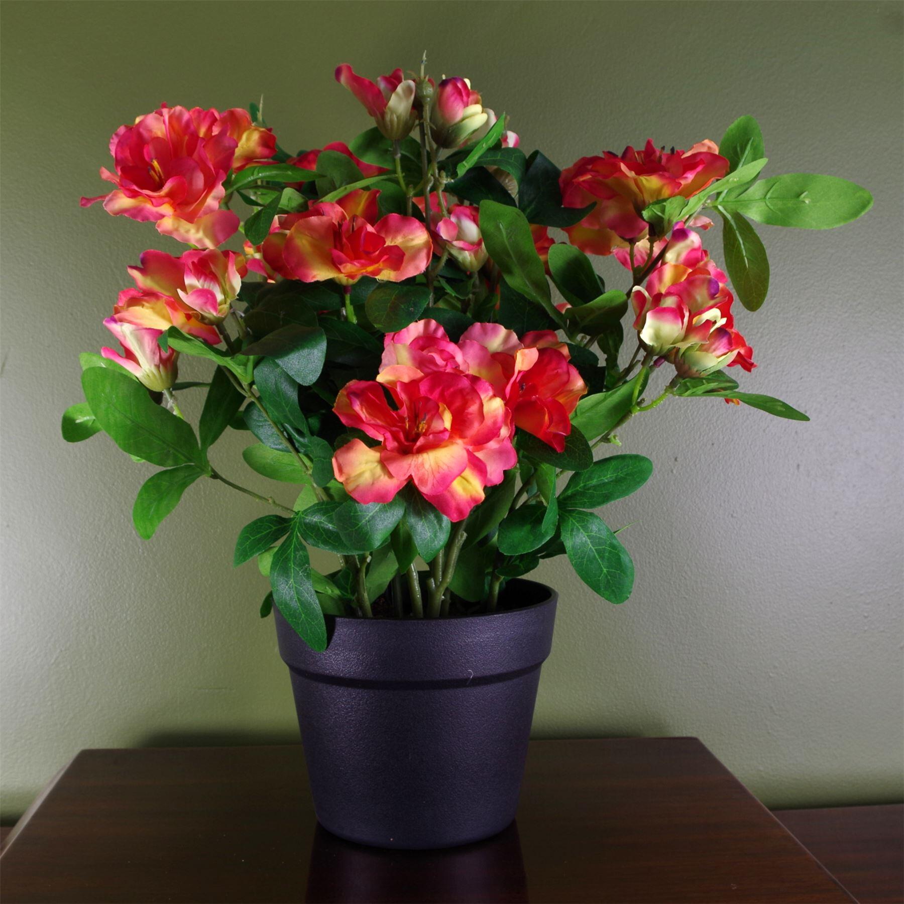 image of artificial rhododendron flowering plant orange