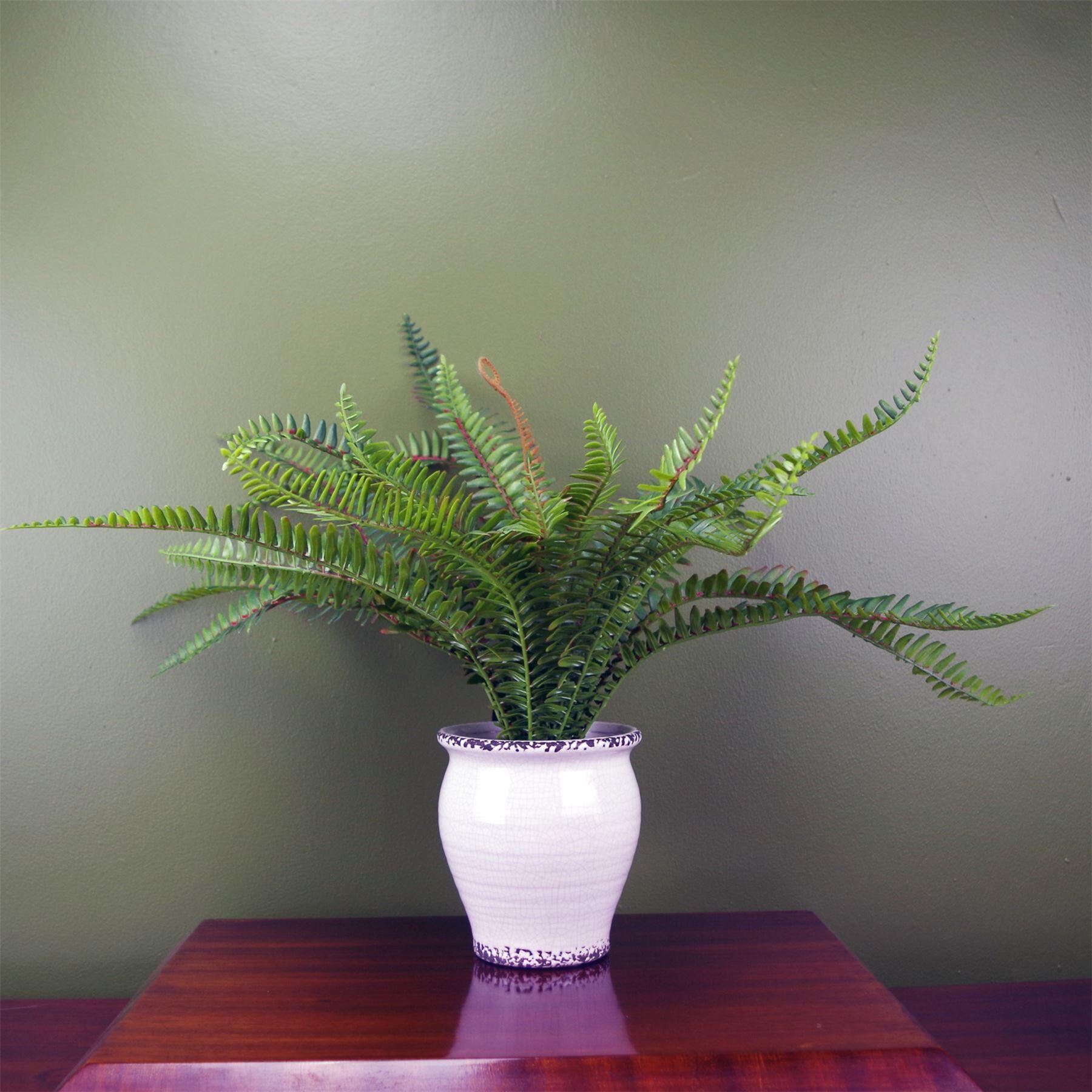 image of 40cm artificial bushy fern potted in decorative planter