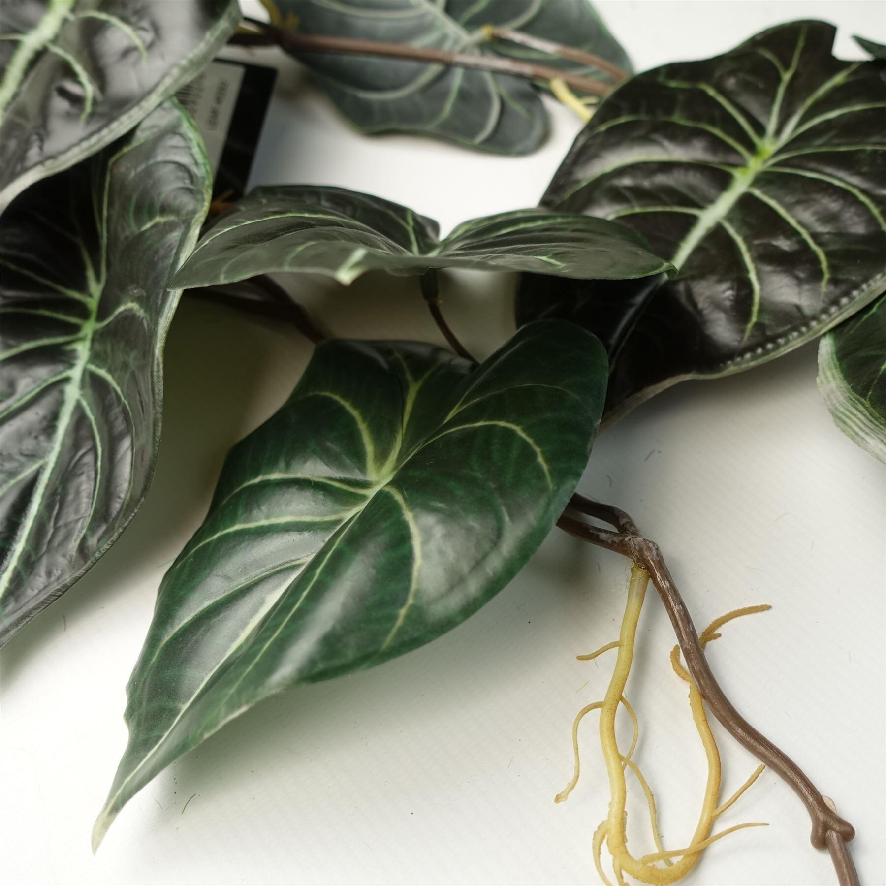 image of 6 x 120cm artificial hanging trailing plant alocasia dragon scale dark view 3