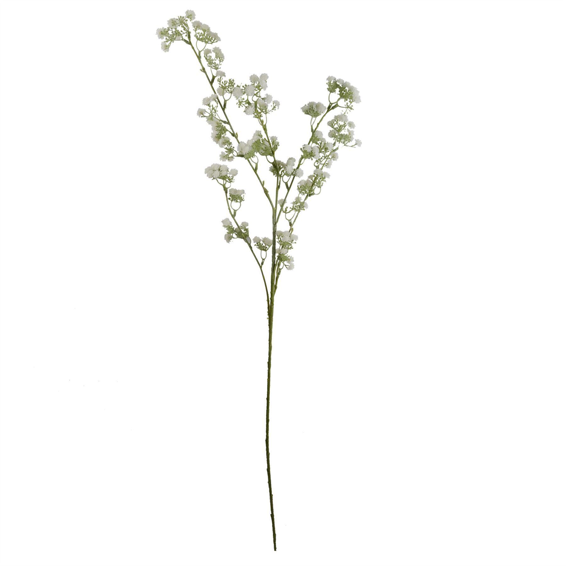 angled view of pack of 6 x 85cm gypsophila white stem