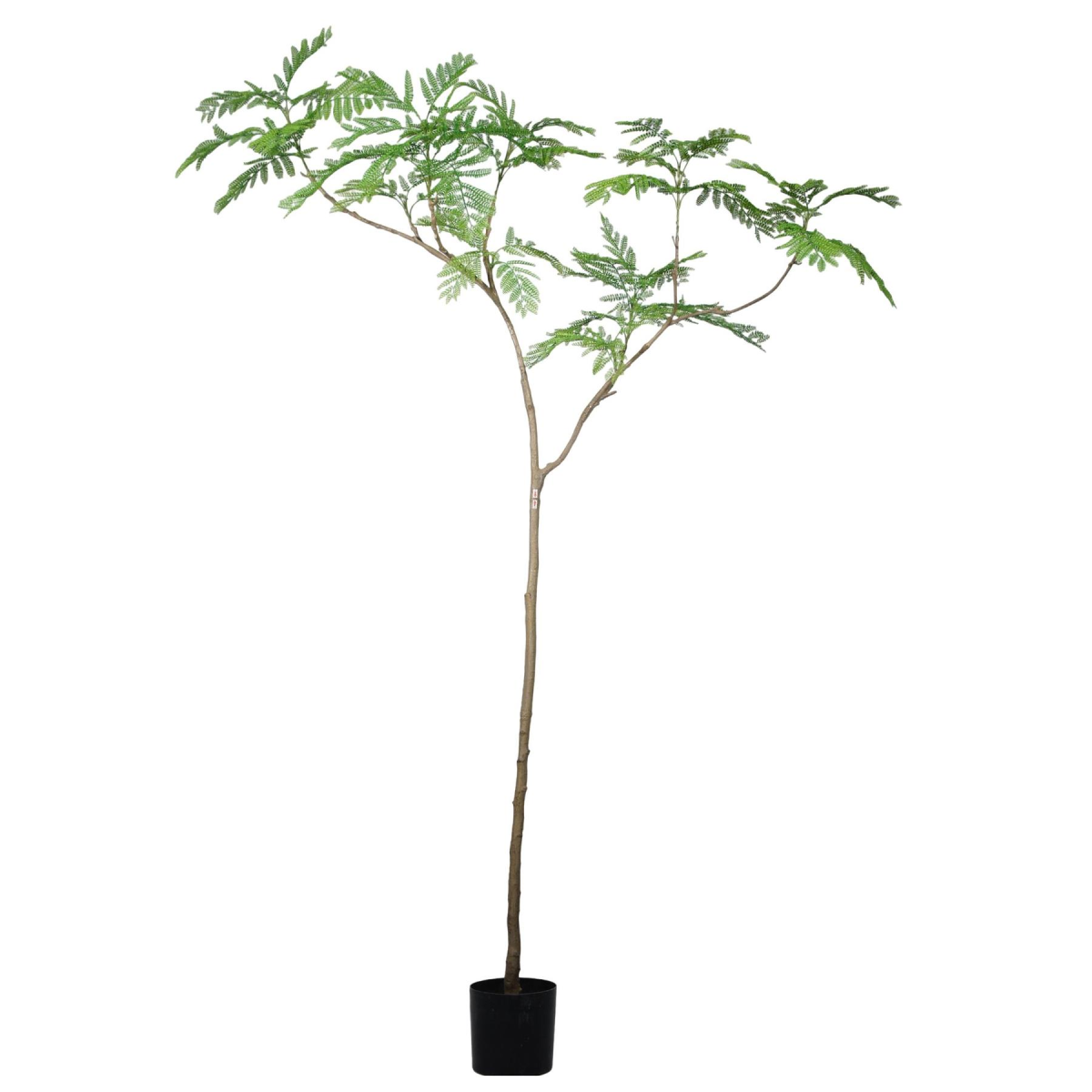 Picture of 240cm Artificial Jacaranda Realistic Artificial Tree