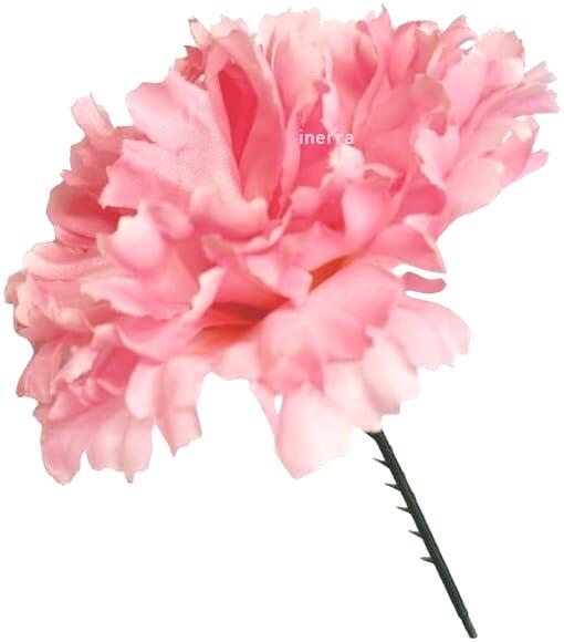 Pink Carnation Picks