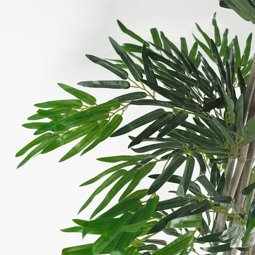 (6ft) xl plants 180cm green trees bamboo product image