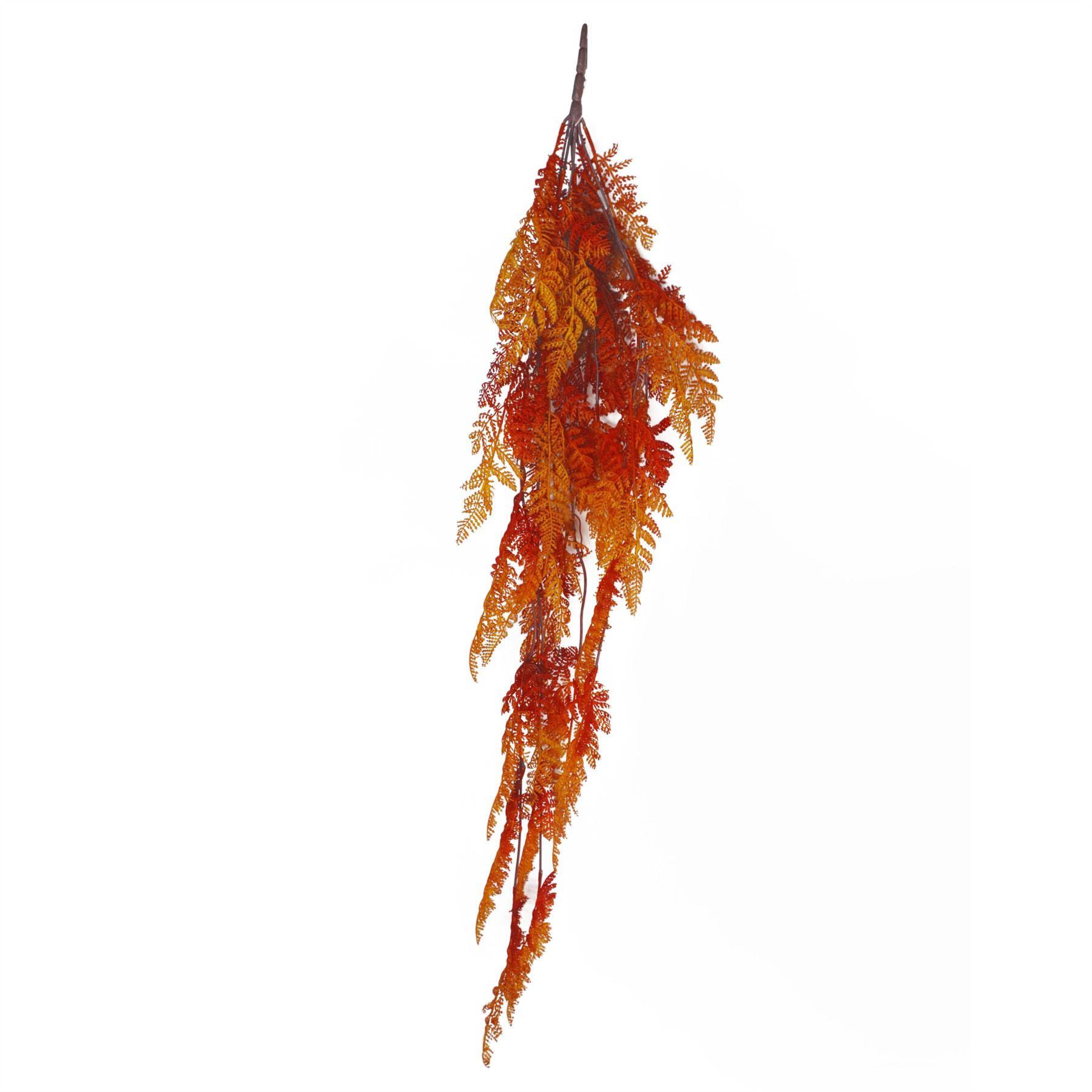 orange maidenhair fern hanging 100cm 6 x product image