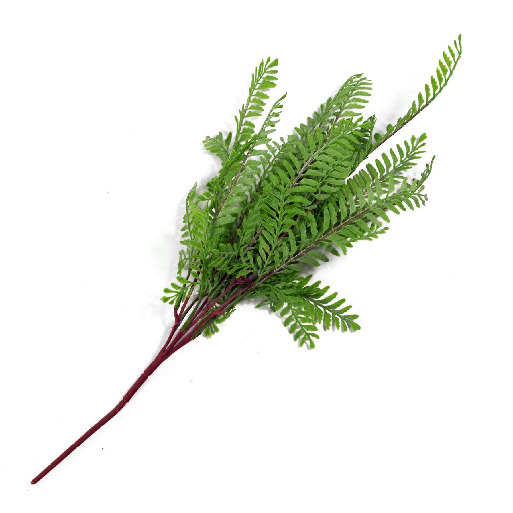 55cm plant maidenhair light himilayan x fern product image