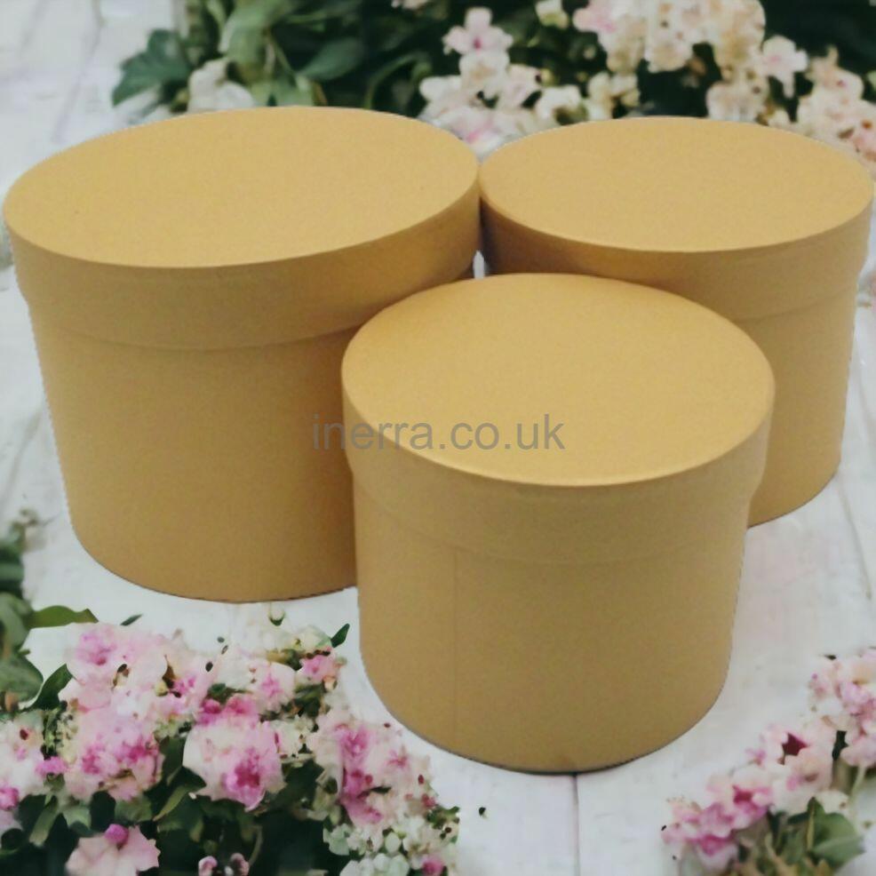 Oasis Set of 3 Round Hat Boxes with Lids Ideal for Gifts or Flowers