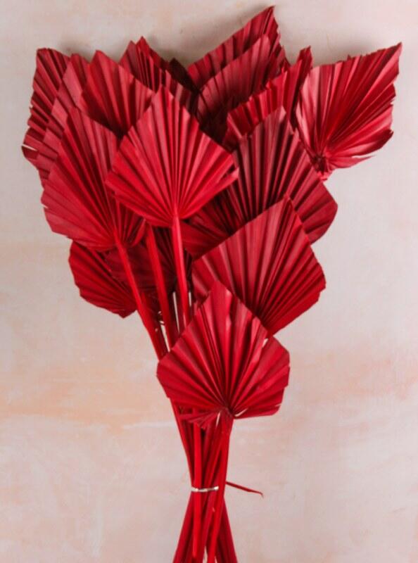 red dried palm spear florist decoration stem