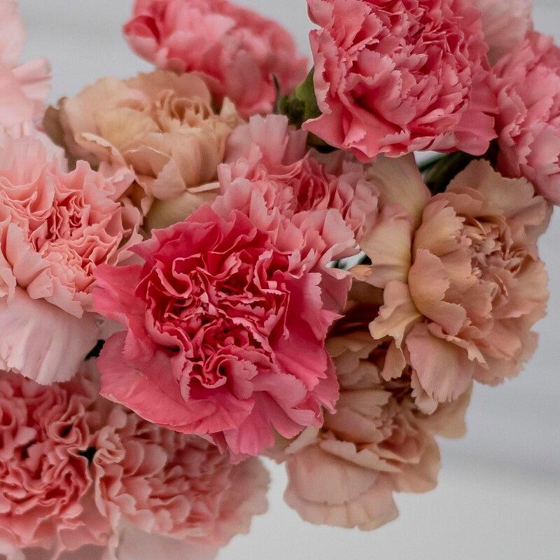 artificial carnation flowers