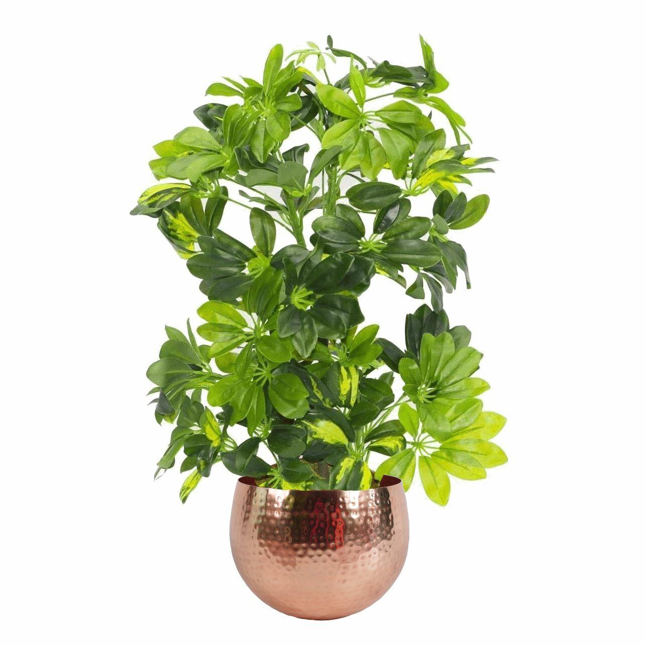 Artificial Arboricola Gold Capella Plant