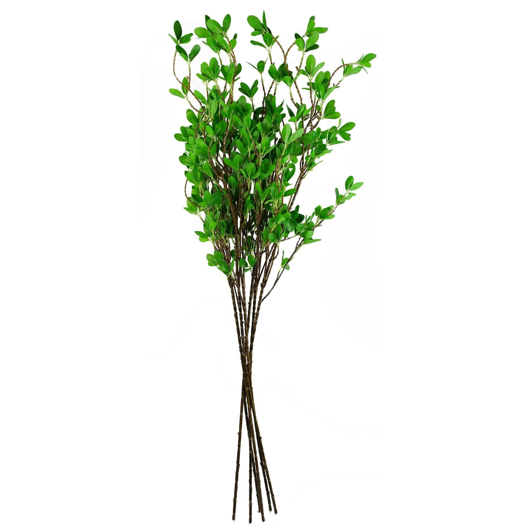 pack of 6 x 100cm mini leaf ficus view 8