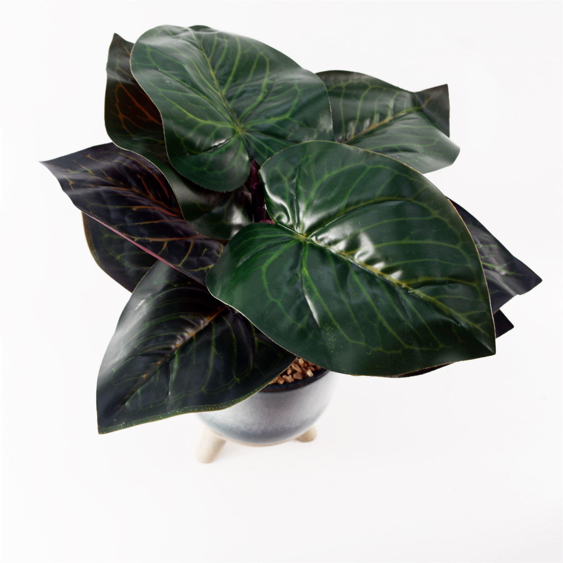35cm artificial ficus plant with teal blue green view 2