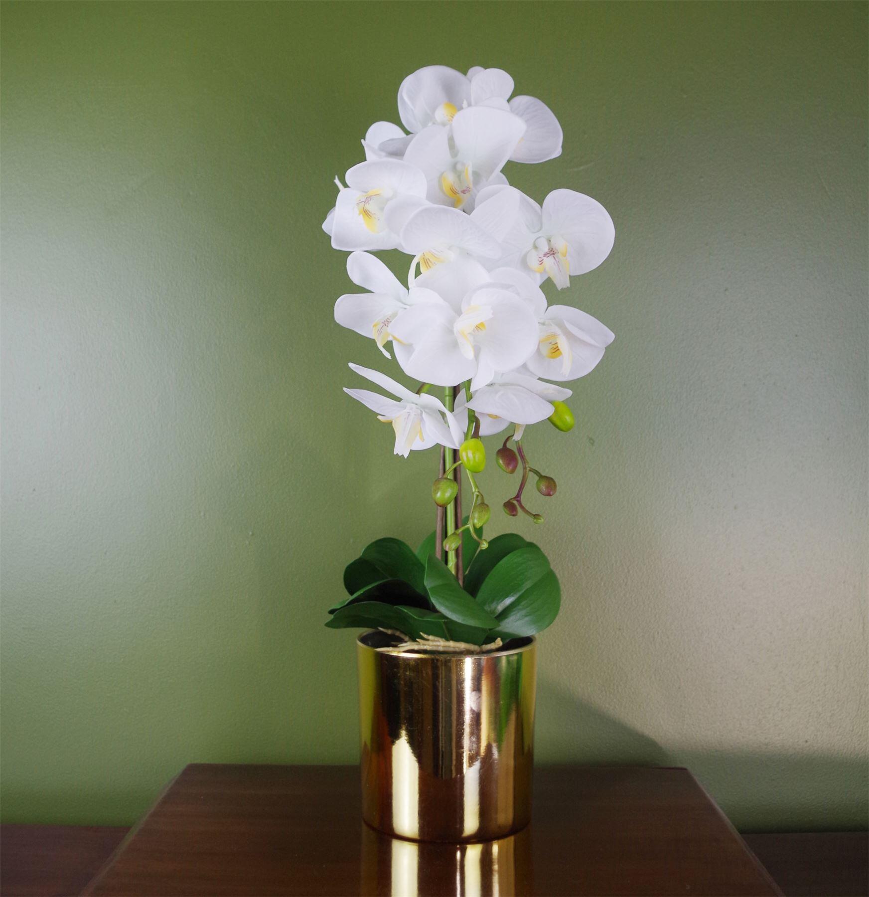 image of 52cm artificial orchid large white and gold