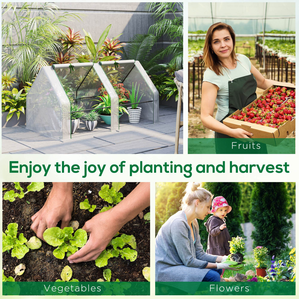 example of mini small greenhouse poly tunnel steeple for plants vegetables white in a setting