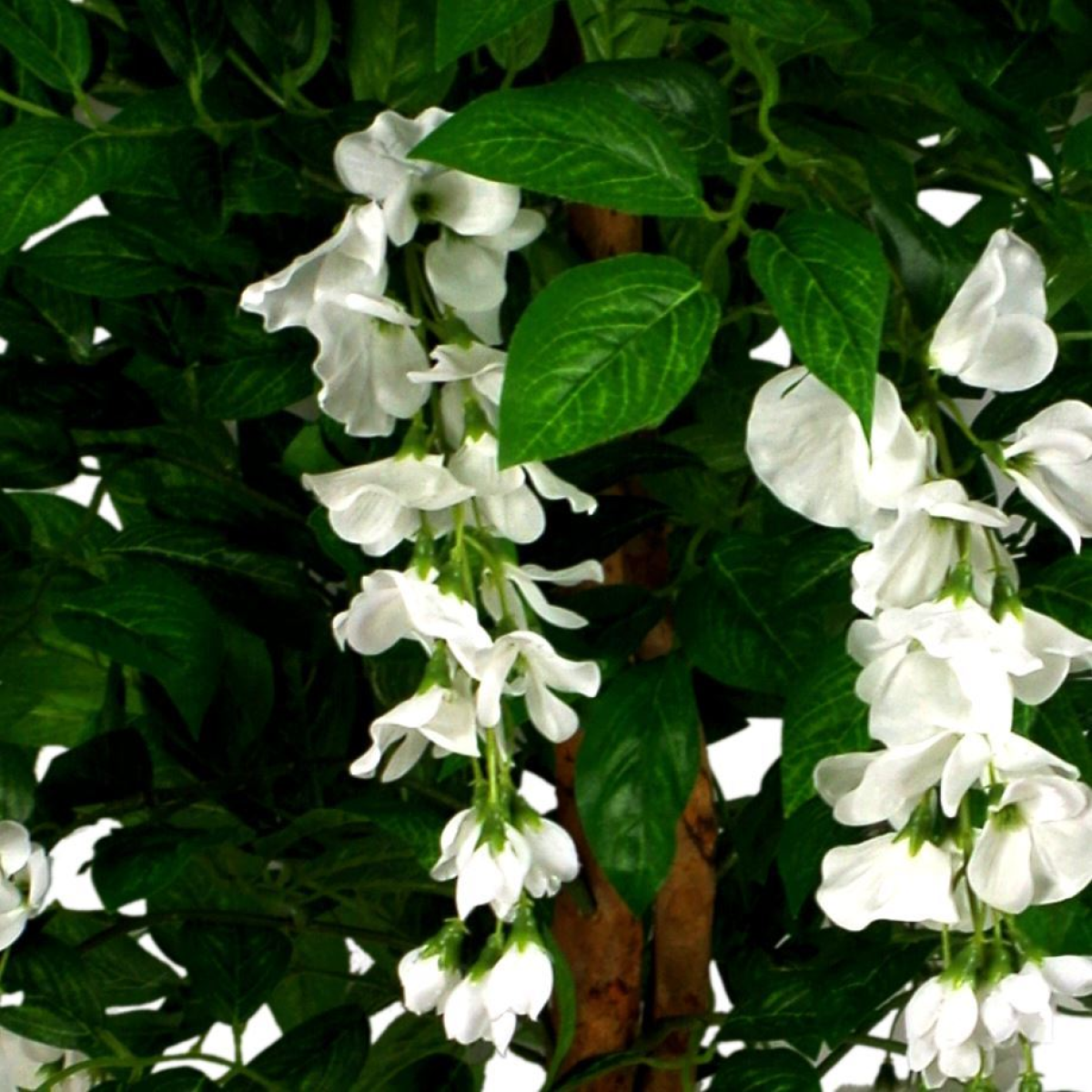 130cm Luxury Artificial Wisteria Tree White Flowers - Premium Range Silver Metal Planter alternative style 3