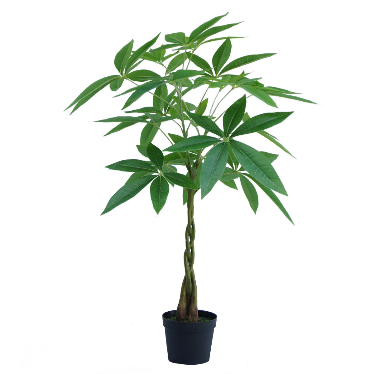Picture of 70cm Artificial Money Tree Pachira Realistic Faux Plant