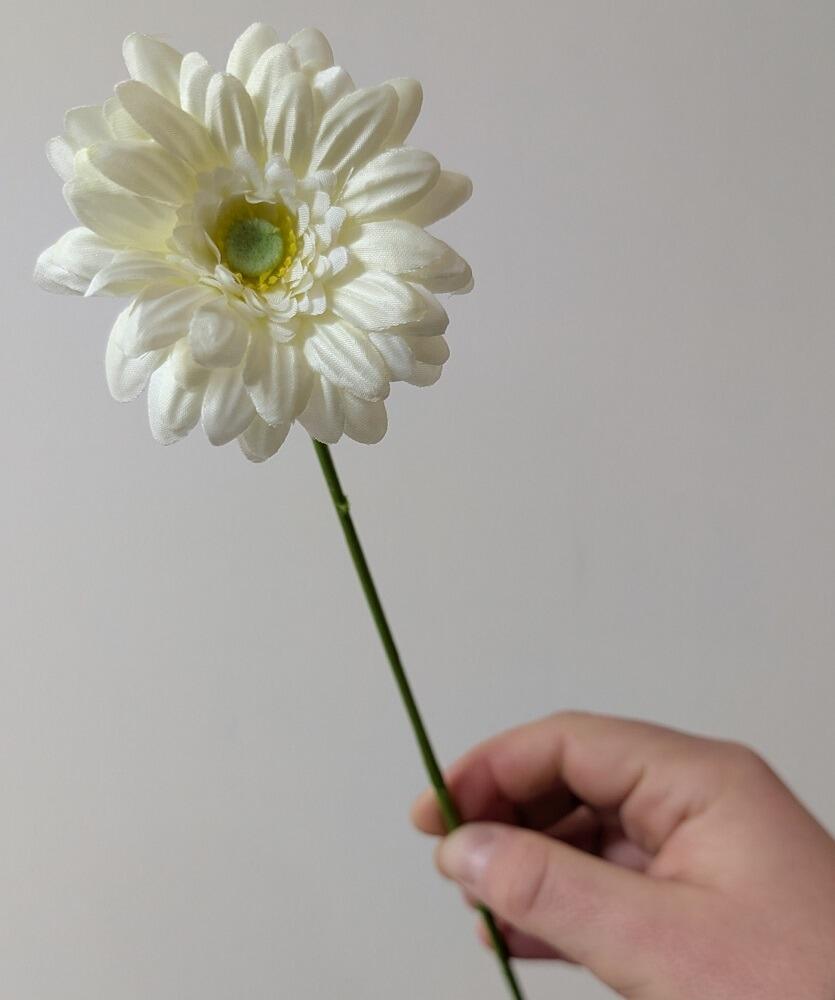 Artificial Cream Gerbera Flower Stem 47cm