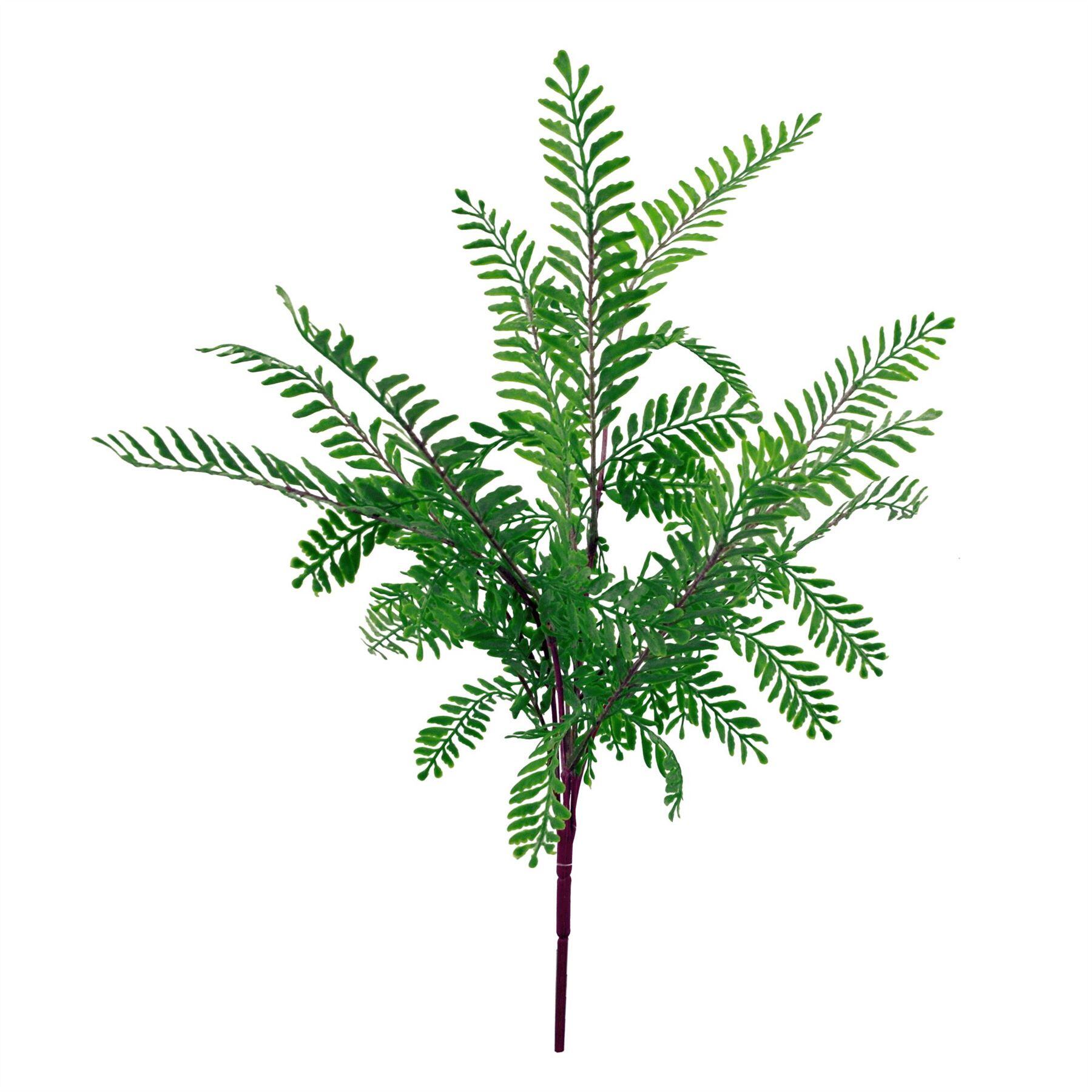 fern green dark himilayan maidenhair x 55cm product image