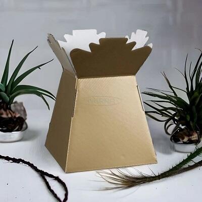 living vases florist bouquet flowers wholesale boxes box vase transporter