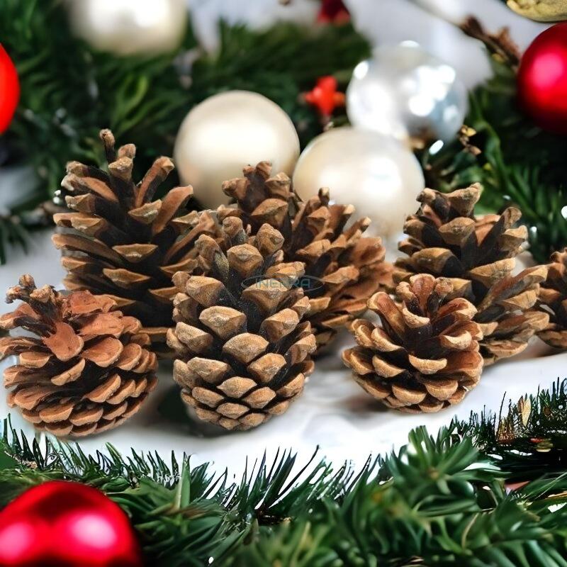 pine cones