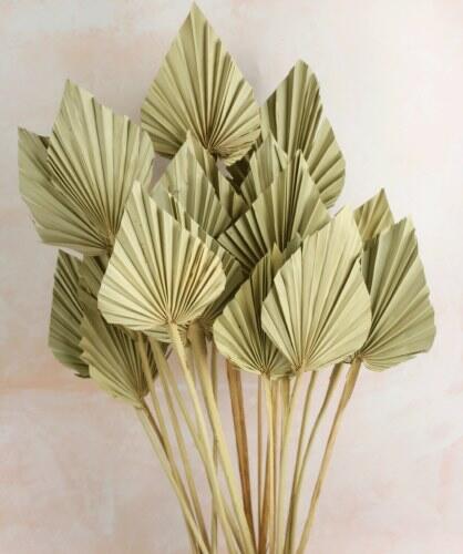 natural dried palm spear leaf