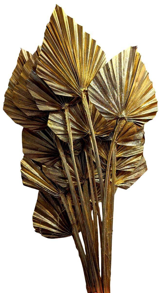 champagne gold dried palm spear